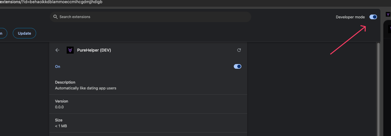 Режим разработчика